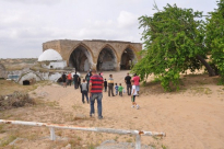  بالصور: الهيئة الاسلامية بيافا في مشروع لصيانة وترميم مسجد ومقام روبين